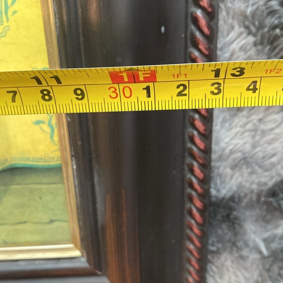 2 Miss Meka Cat Picture Paul Stagg The Bombay Company Stephanie Hoppen - Picture 13 of 16